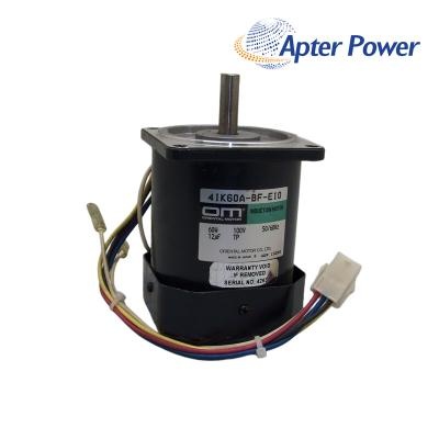 SASH 4IK60A-BF-E10 AC Motor
