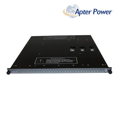 Triconex 3636T Digital Output Module
