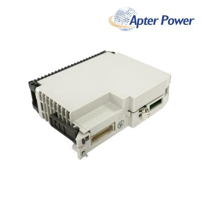 Schneider DAU202/AS-BDAU-202 Analog Output Module
