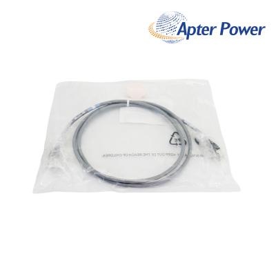 FOXBORO P0800DV Fieldbus Extension Cable
