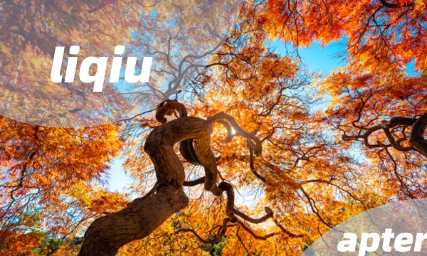 لیکیو - آغاز پاییز