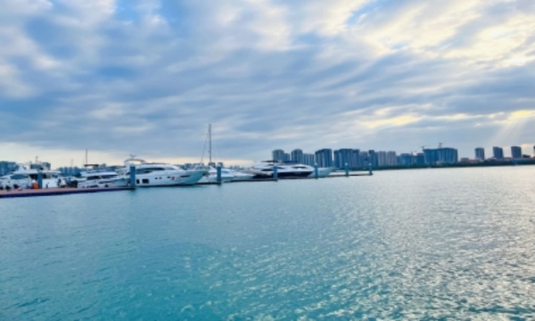 درباره اپتر پاور
